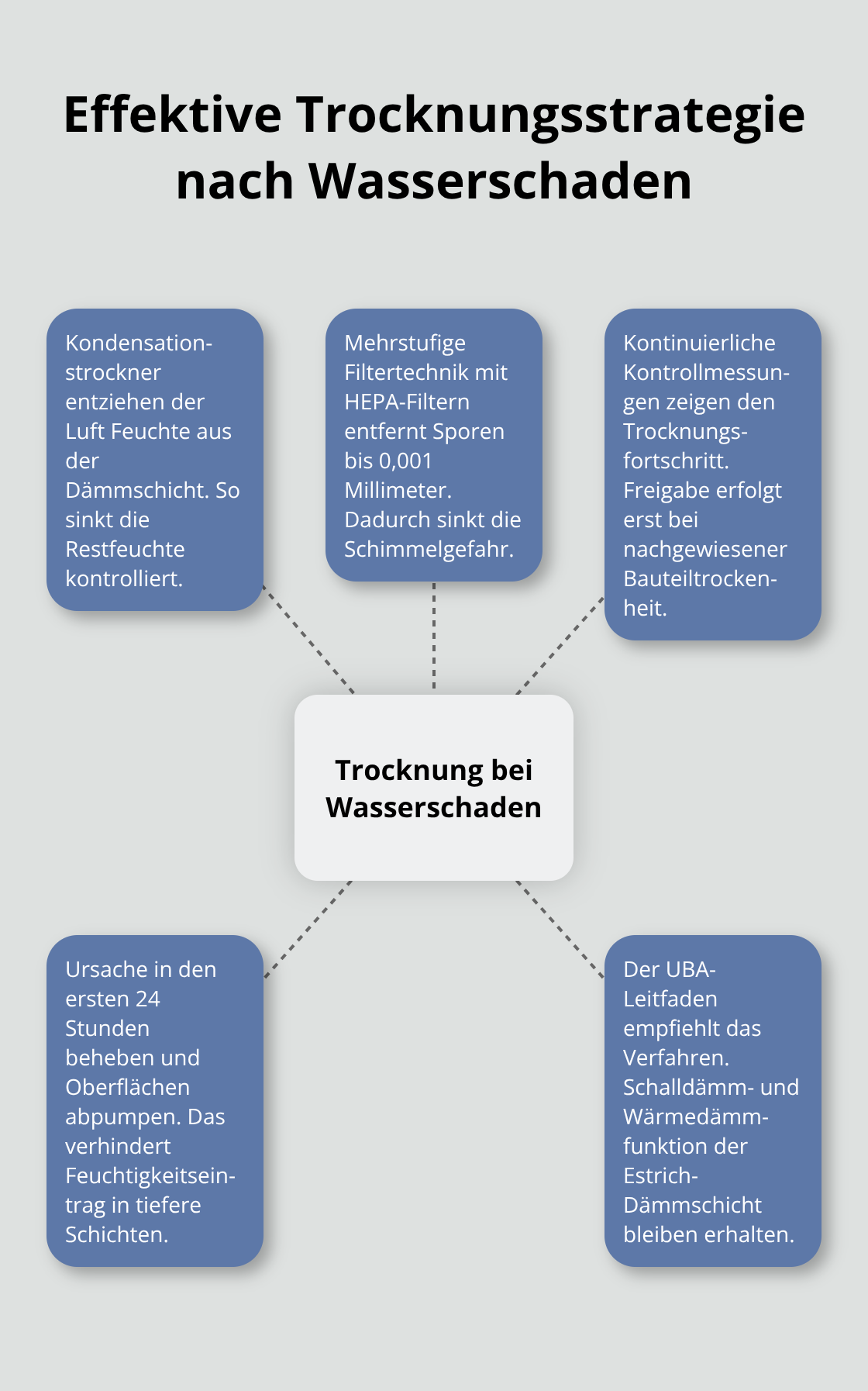 Übersicht der Schritte und Komponenten der professionellen Wasserschadentrocknung